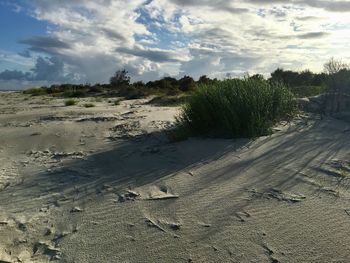 Scenic view of beach against sky