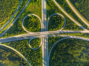 High angle view of plants