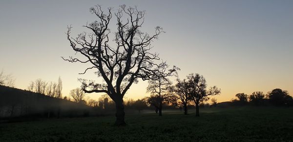 Silhouette trees on field against sky during sunset
