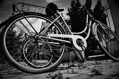 Close-up of bicycle wheel