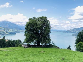 Scenic view of landscape against sky