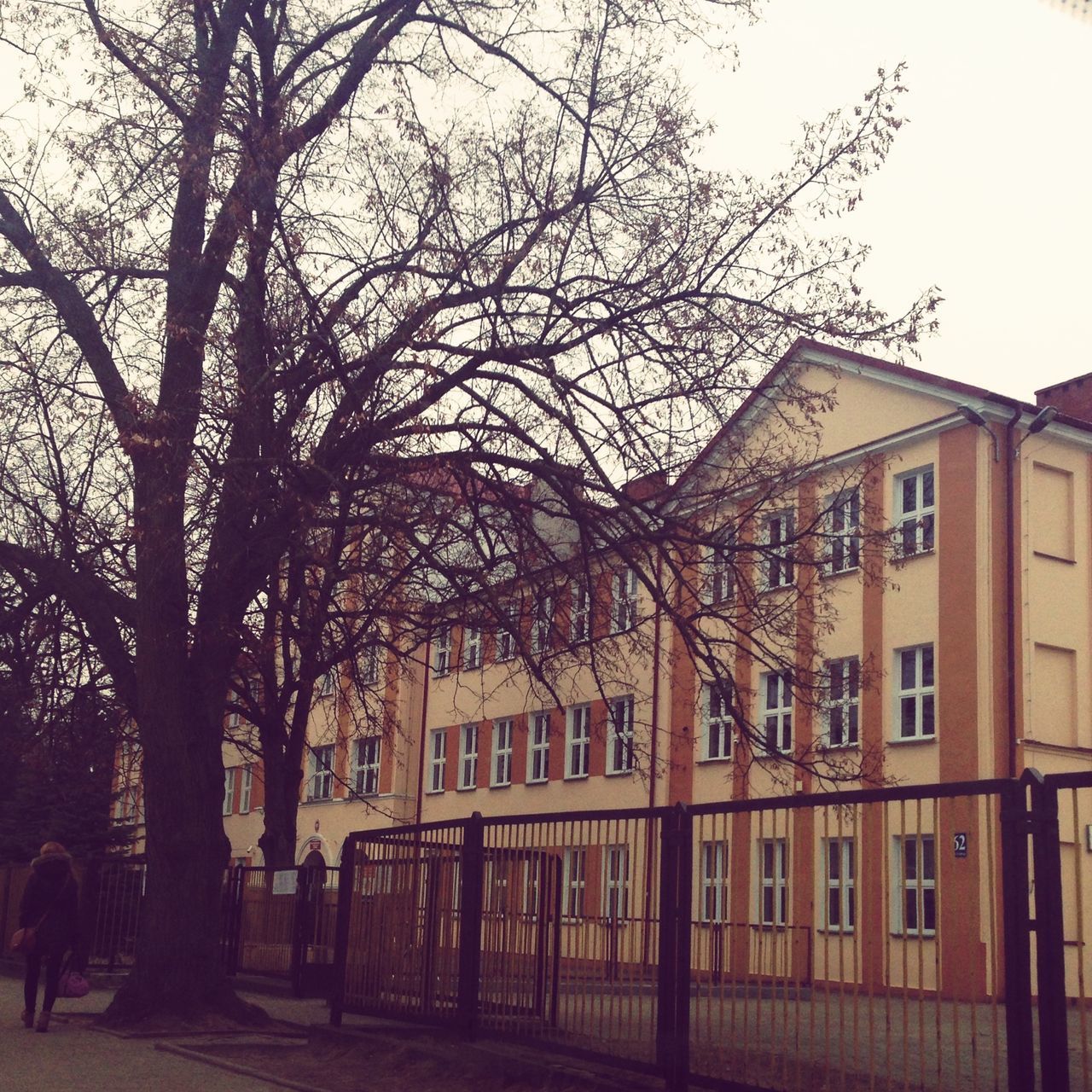 building exterior, architecture, built structure, bare tree, tree, residential structure, residential building, sky, house, city, building, window, street, outdoors, day, branch, clear sky, facade, incidental people, road