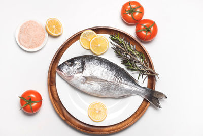 High angle view of fish on plate against white background