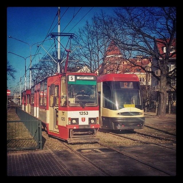 transportation, railroad track, mode of transport, public transportation, transfer print, rail transportation, land vehicle, train - vehicle, railroad station platform, railroad station, car, train, auto post production filter, travel, building exterior, passenger train, power line, built structure, architecture, tree