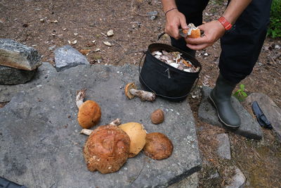 Low section of man cutting mushrooms in bucket at forest