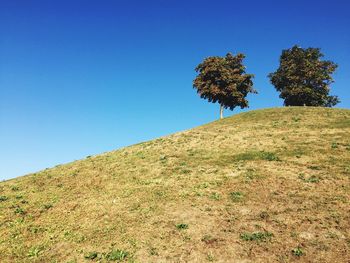 Low angle view of tree against clear blue sky