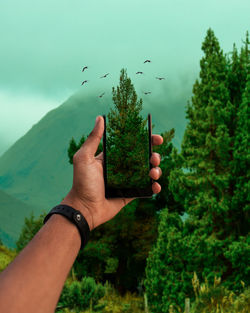 Cropped image of hand holding bird flying against trees