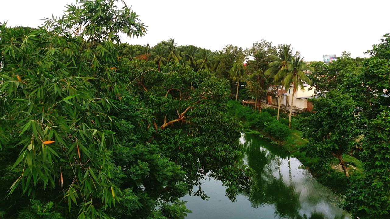 water, tree, architecture, reflection, waterfront, built structure, building exterior, house, lake, tranquil scene, tranquility, scenics, green color, lush foliage, river, growth, calm, beauty in nature, standing water, nature, day, outdoors, non-urban scene, sky, green, remote, no people, surrounding