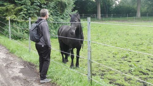 Full length of man standing on footpath by horse