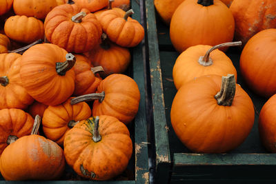 High angle view of pumpkins for sale at market