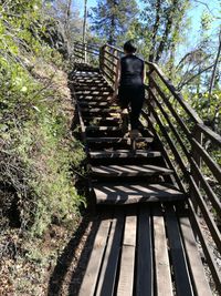 Rear view of man walking on steps in forest