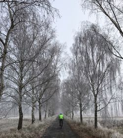 Man on road amidst trees against sky