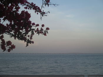 Scenic view of sea against sky at sunset