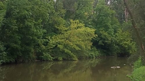 Scenic view of calm lake