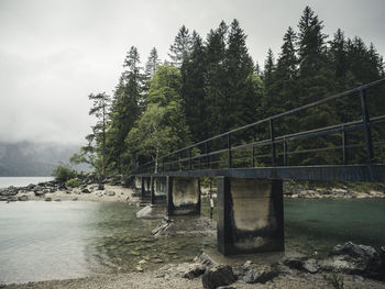 Bridge over river amidst trees in forest against sky