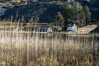 Scenic view of lake