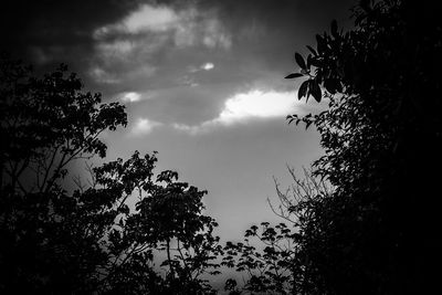 Low angle view of silhouette trees against sky