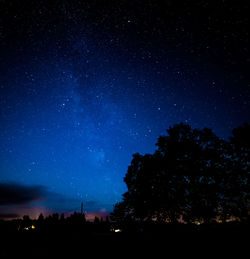 Low angle view of silhouette trees against star field