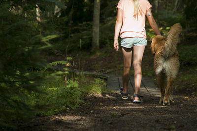 Low section of woman by golden retriever walking on footpath