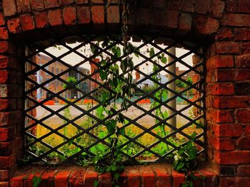 Close-up of window on brick wall