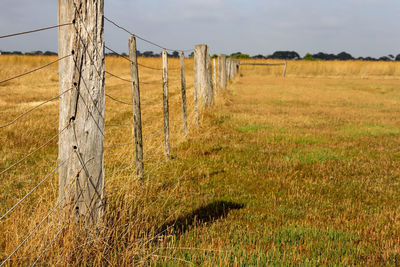 fence