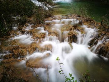 Scenic view of waterfall in forest