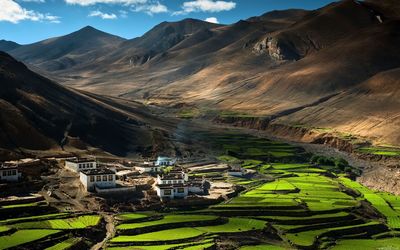 Scenic view of agricultural field and mountains against sky