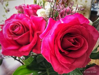 Close-up of rose bouquet