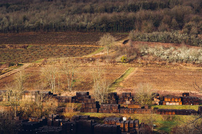 Scenic view of storage of staves for cooperage.