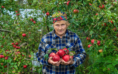 Close-up of apples