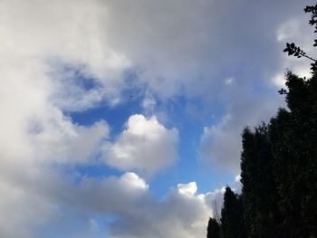 Low angle view of trees against blue sky