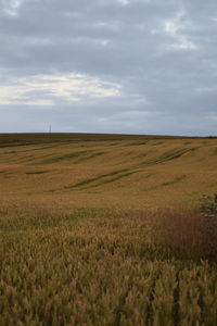 Scenic view of field against cloudy sky