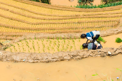 Man working