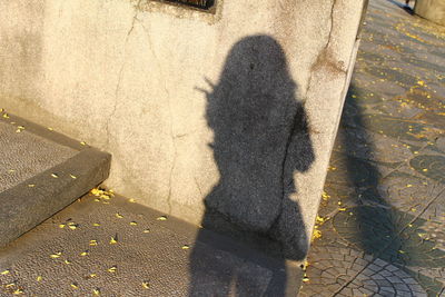 Shadow of man on wall