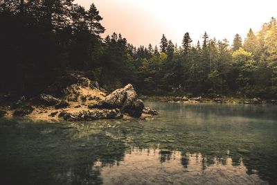 Scenic view of lake in forest against sky