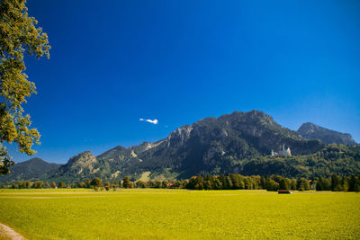 Scenic view of field against clear blue sky