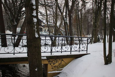 Snow covered trees in winter