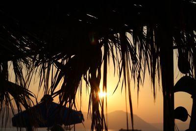 Low angle view of silhouette palm trees against sky during sunset
