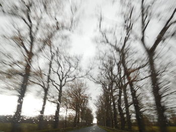 Road amidst bare trees against sky