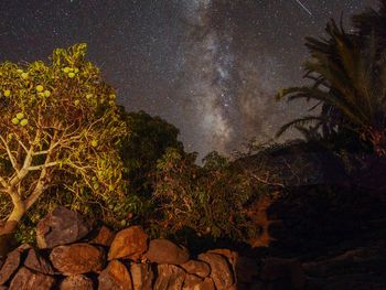 Scenic view of trees against sky at night