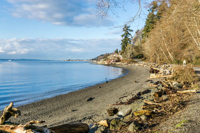 A view of the beach and waterfront homes at lincoln park in west seattle, washington.