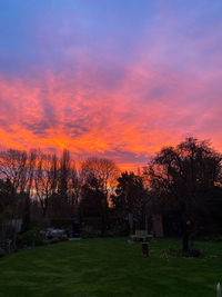 Trees on field against sky during sunset