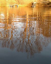 Reflection of trees in water