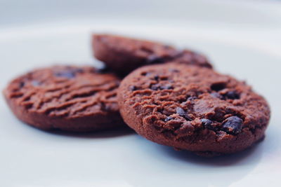 Close-up of cookies in plate