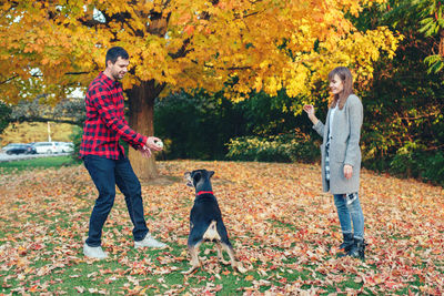Couple standing in public park playing with dog