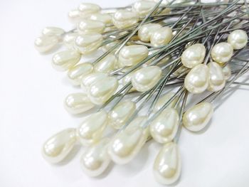 High angle view of eggs on white background
