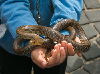 Close-up of man holding hands