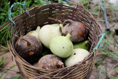 High angle view of apples in basket