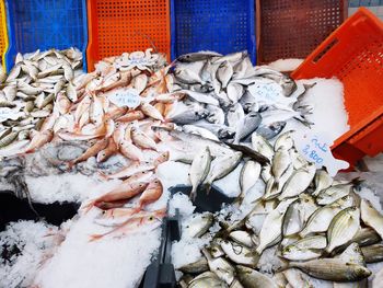 Stack of fish for sale at market