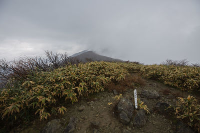 Scenic view of land against sky